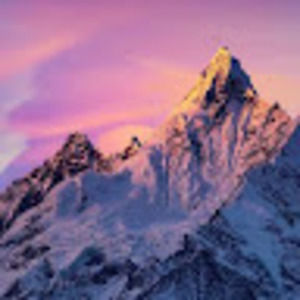 Meet your Posher, Miranda